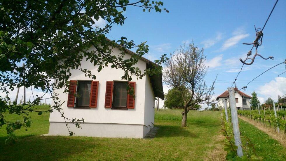 Altes Presshaus Apartment Eberau Exterior photo